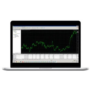 Photo for setup multiple mt4 account in forex vpsmalaysia