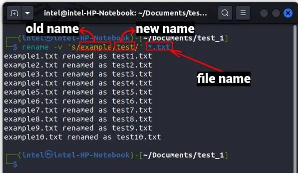 Rename Multiple Files Using Rename Commands