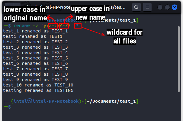 Change The Case of The Filenames