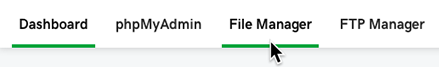 Rename File in Linux With Cpanel